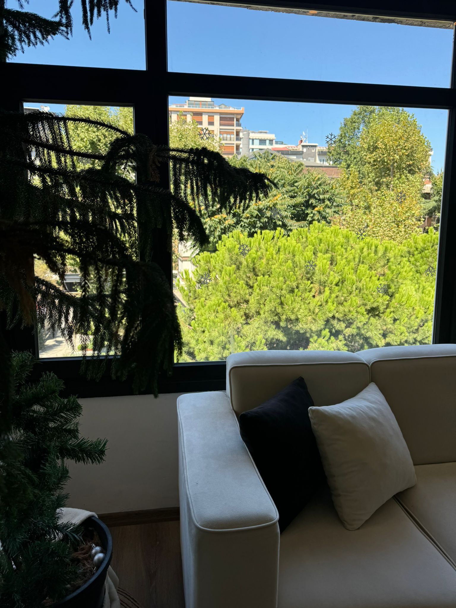 Terapi Ortamı - Doğal Işık ve Huzur